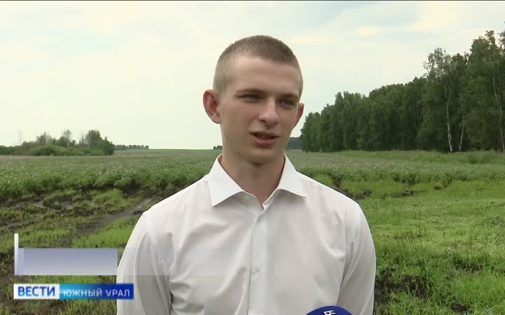 Южноуральские аграрии стали самыми результативными в УрФО