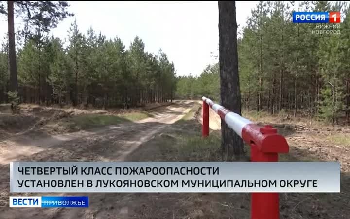 Высокий, четвертый класс пожароопасности, установился в Лукояновском муниципальном округе