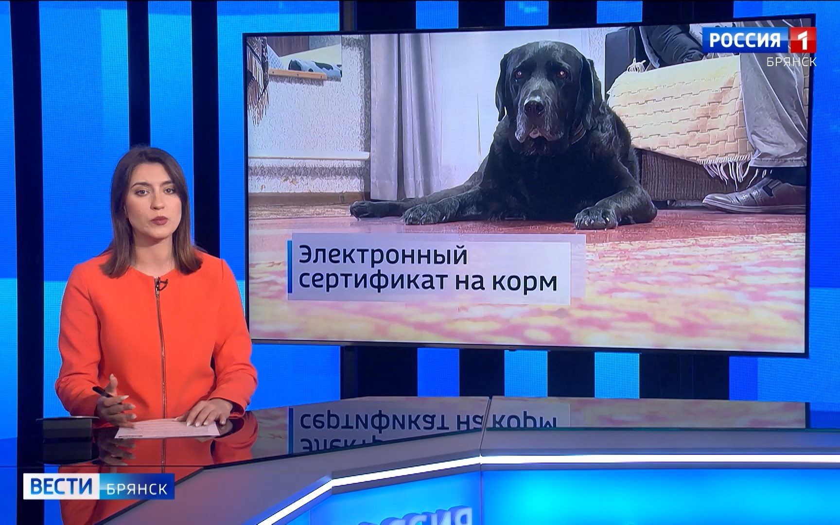 "Утро России. Брянск"