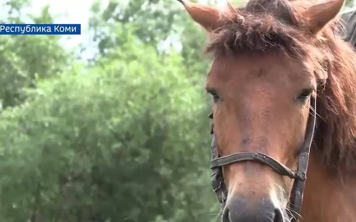 Вести Арктики с Алексеем Шемякиным, эфир 14 июля 2026 г.