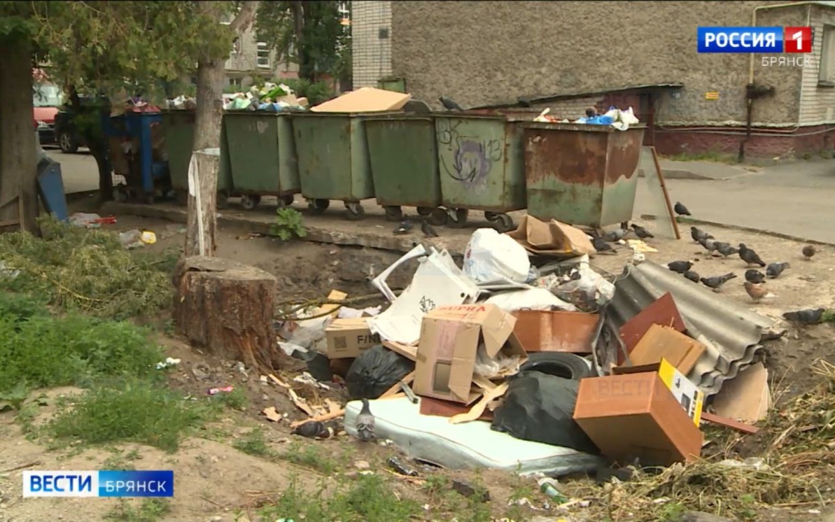 Брянцы жалуются на переполненные мусорные контейнеры