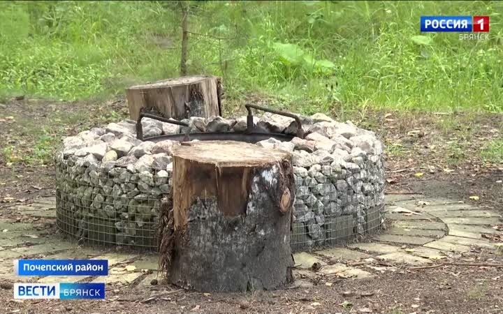 В лесах Брянщины благоустраивают зоны отдыха