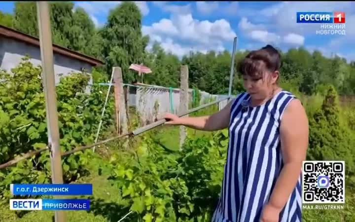 Что можно вырастить в саду в средней полосе и как распорядиться урожаем?