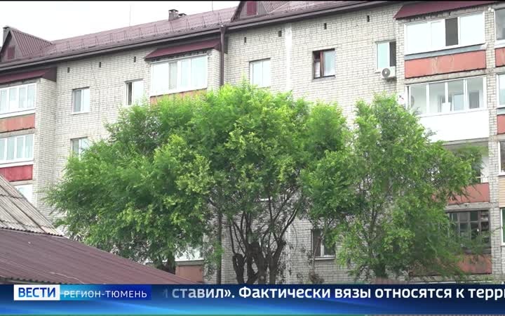 Живущие в районе Дома Обороны тюменцы борются за снос старых деревьев