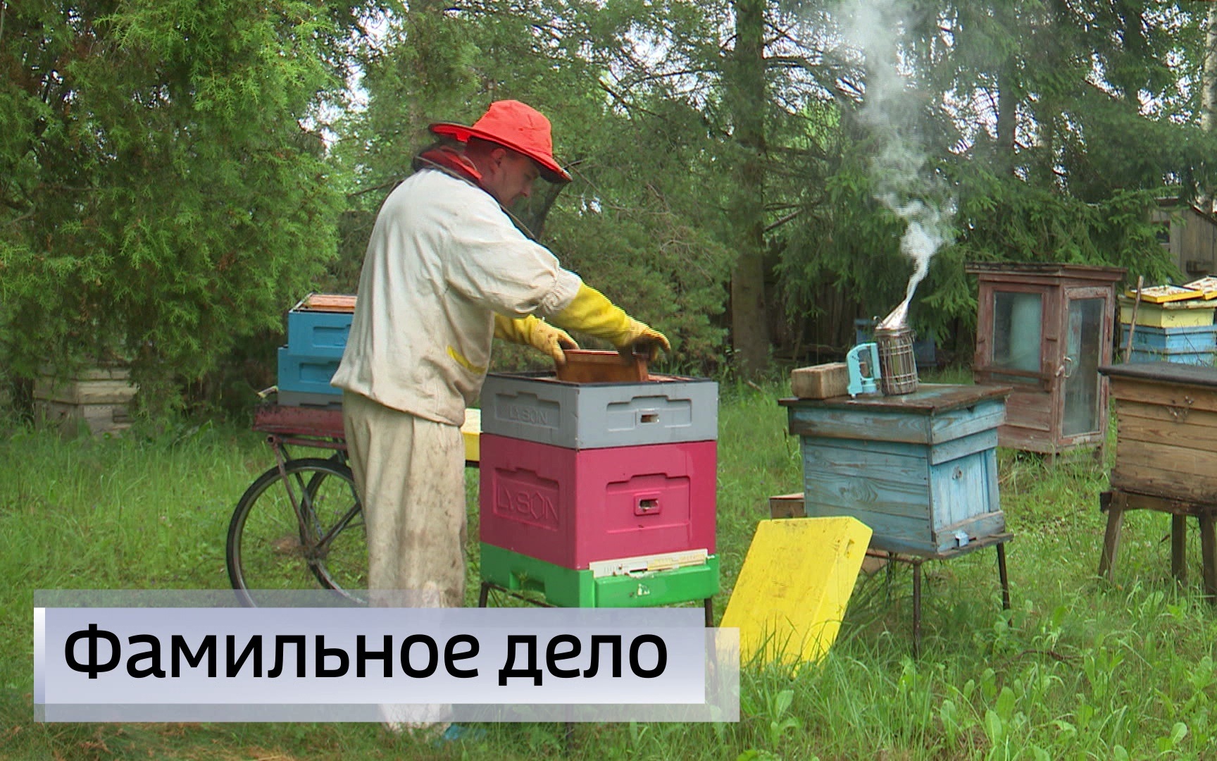Эфир от 16.07.2026 (11:30)