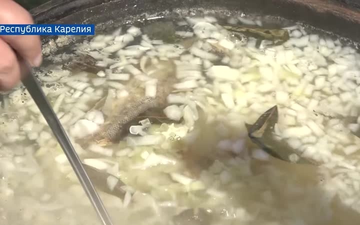 Вести Арктики с Анной Усковой, эфир 16 июля 2026 г.