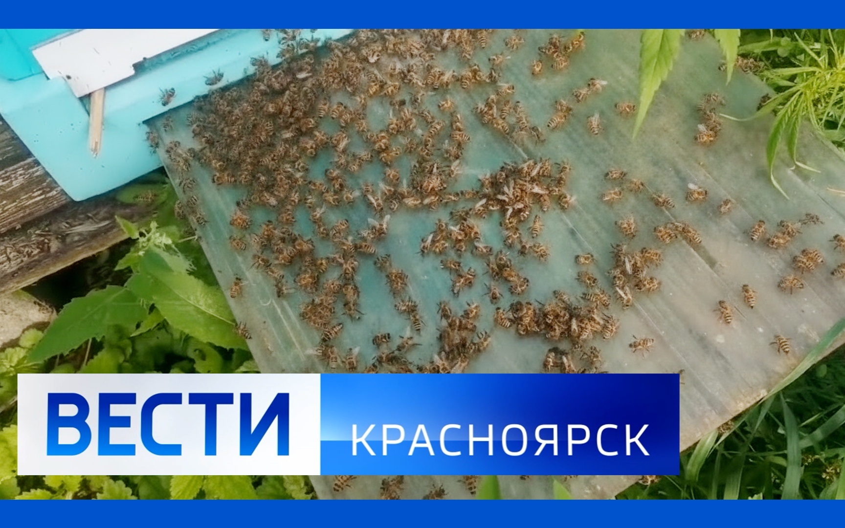 Эфир от 16.07.2026