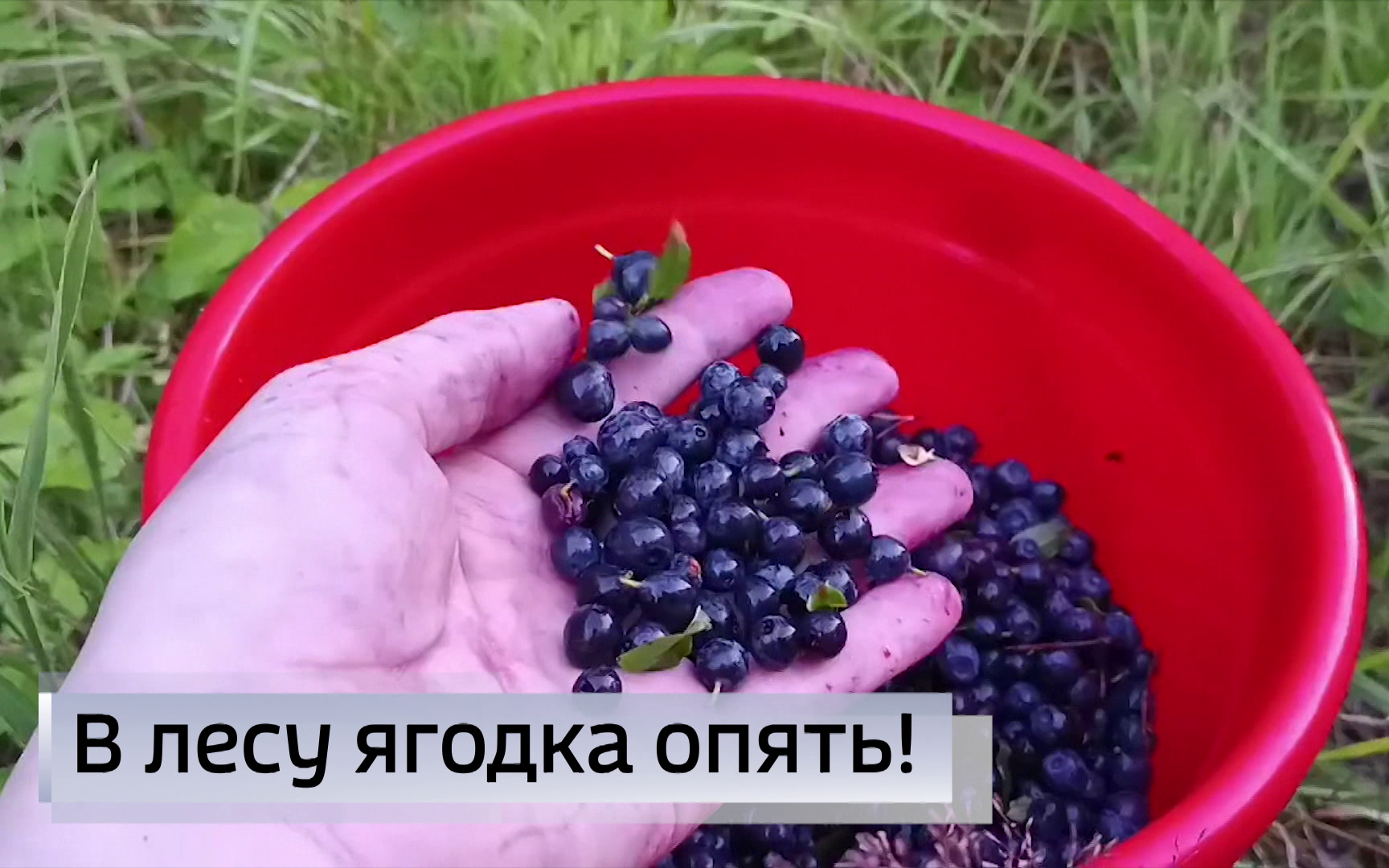 Эфир от 17.07.2026 (09:30)