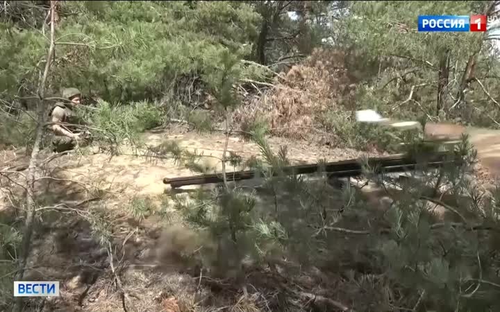 Минобороны сообщает о потере более 10 тысяч боевиков ВСУ за неделю в Запорожье