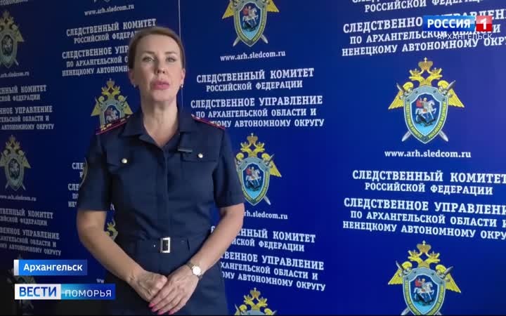 Подростку из Няндомы вынесли приговор за жестокое убийство матери
