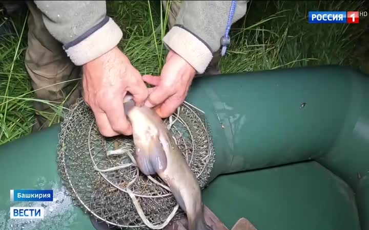 Инспекторы ночью задержали браконьера в парке "Аслыкуль"