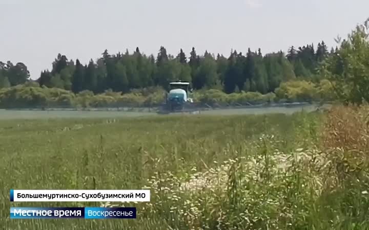 В Большемуртинском округе погибли пчёлы