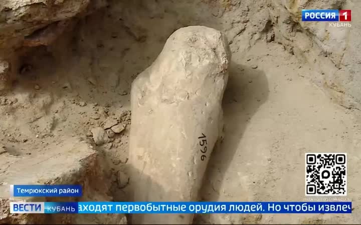 Археологи нашли в Темрюкском районе останки слонов и носорогов