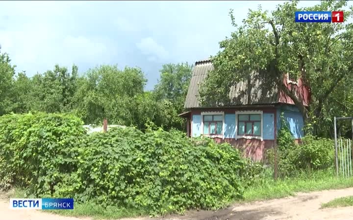 Дачные воры активизировались на Брянщине: как не стать жертвой преступников?