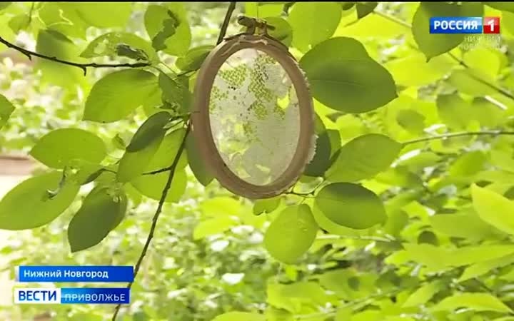 Обновленный тайный сад в «Заповедных кварталах» Нижнего Новгорода вновь принимает гостей