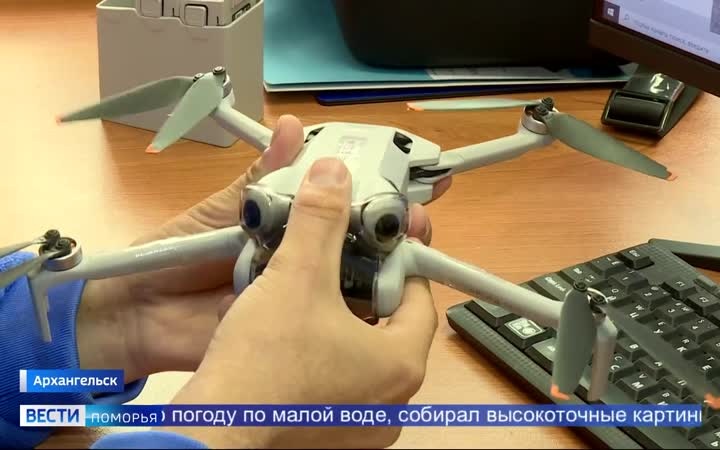 В акватории острова Большой Соловецкий учёные завершили исследования промысловых видов водорослей — фукуса и ламинарии