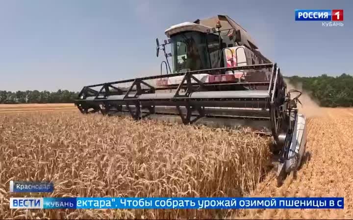 Аграрии Кубани бьют рекорды