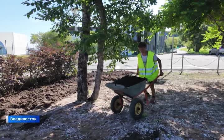 Владивосток озеленяют школьники