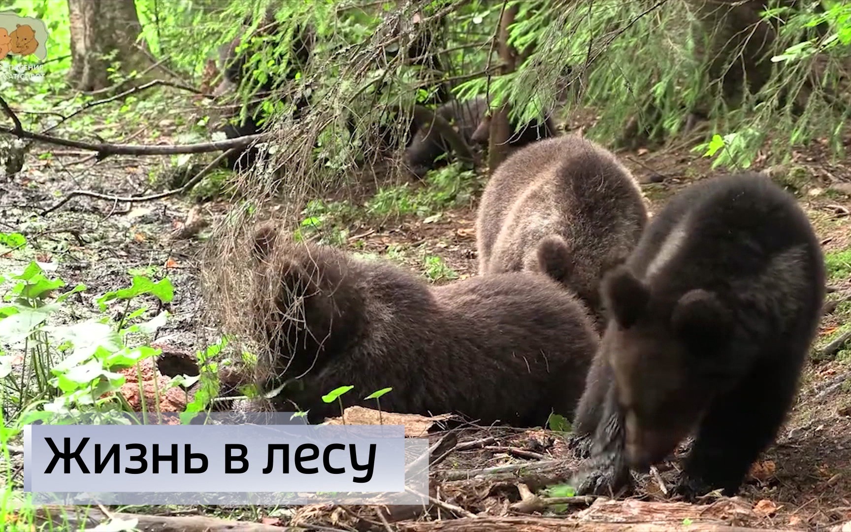 Эфир от 22.07.2026 (09:30)