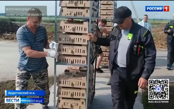 Новый птицеводческий комплекс запустили в Ардатовском округе при господдержке