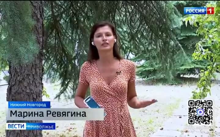 Существуют ли наноклещи?