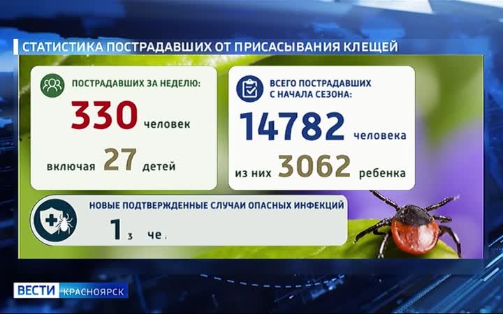Клещи продолжают атаковать жителей региона