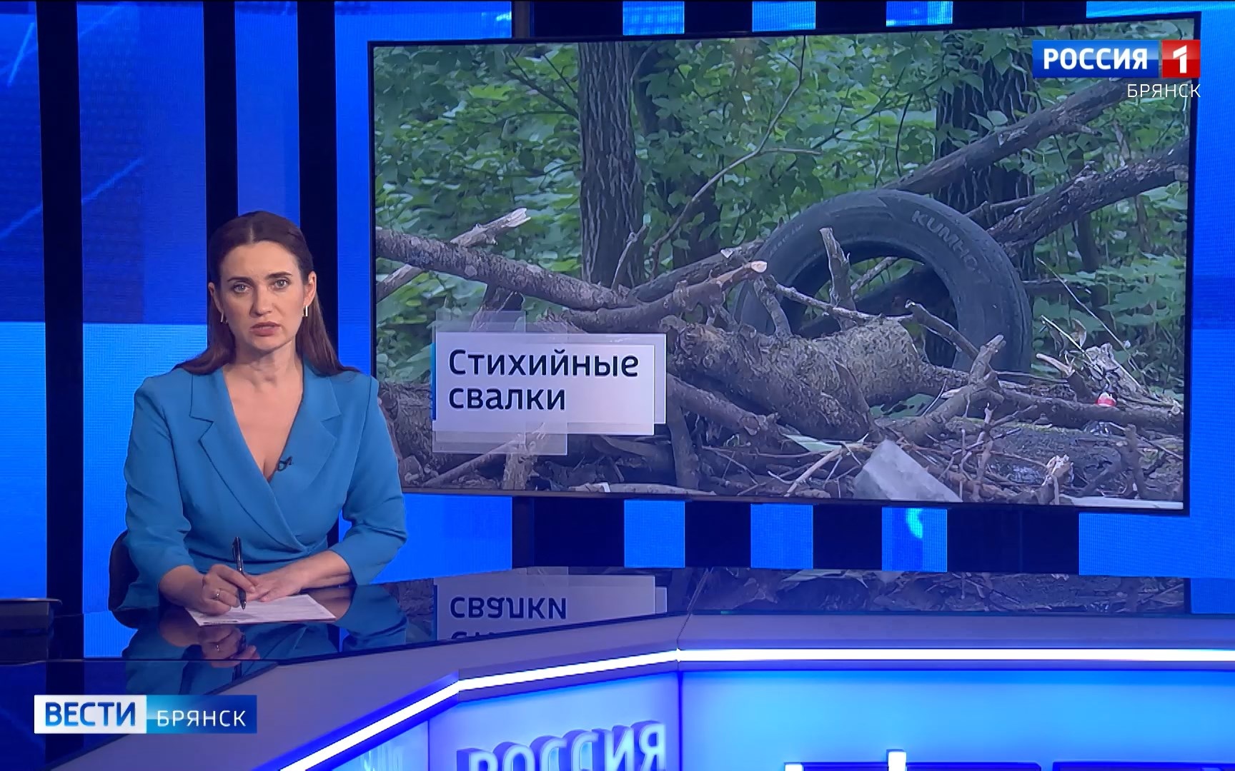 "Вести. Брянск"