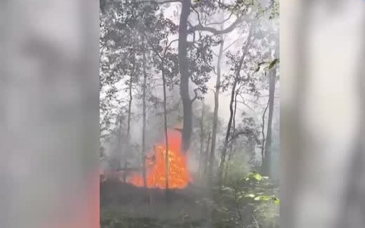 Пожары в Красноярском крае и Югре усиливают борьбу с огнем.