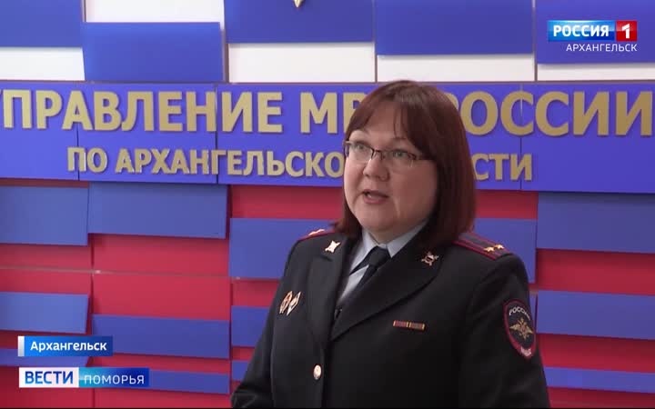 20 плиток шоколада и столько же упаковок сыра вынес из магазина 19-летний архангелогородец