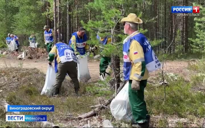В Виноградовском округе ликвидировали несанкционированную свалку