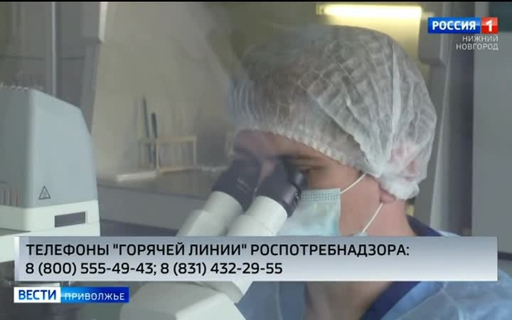 Роспотребнадзор сегодня открывает "горячую линию" по вопросам профилактики энтеровирусной инфекции