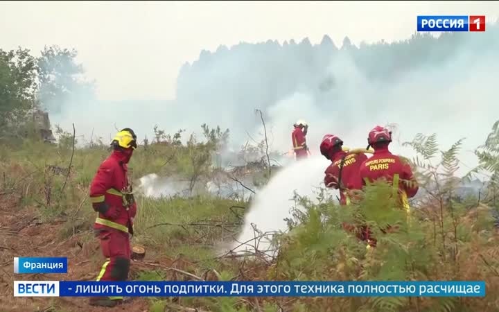 Лесные пожары в Бордо: угроза столице винодельческого региона