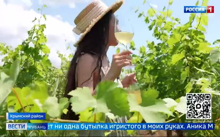Винный туризм на Кубани выходит на новый уровень