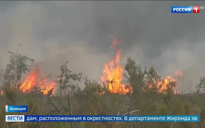 Аномальная жара в Европе: Британия на грани новых рекордов, пожары угрожают Бордо и Испании