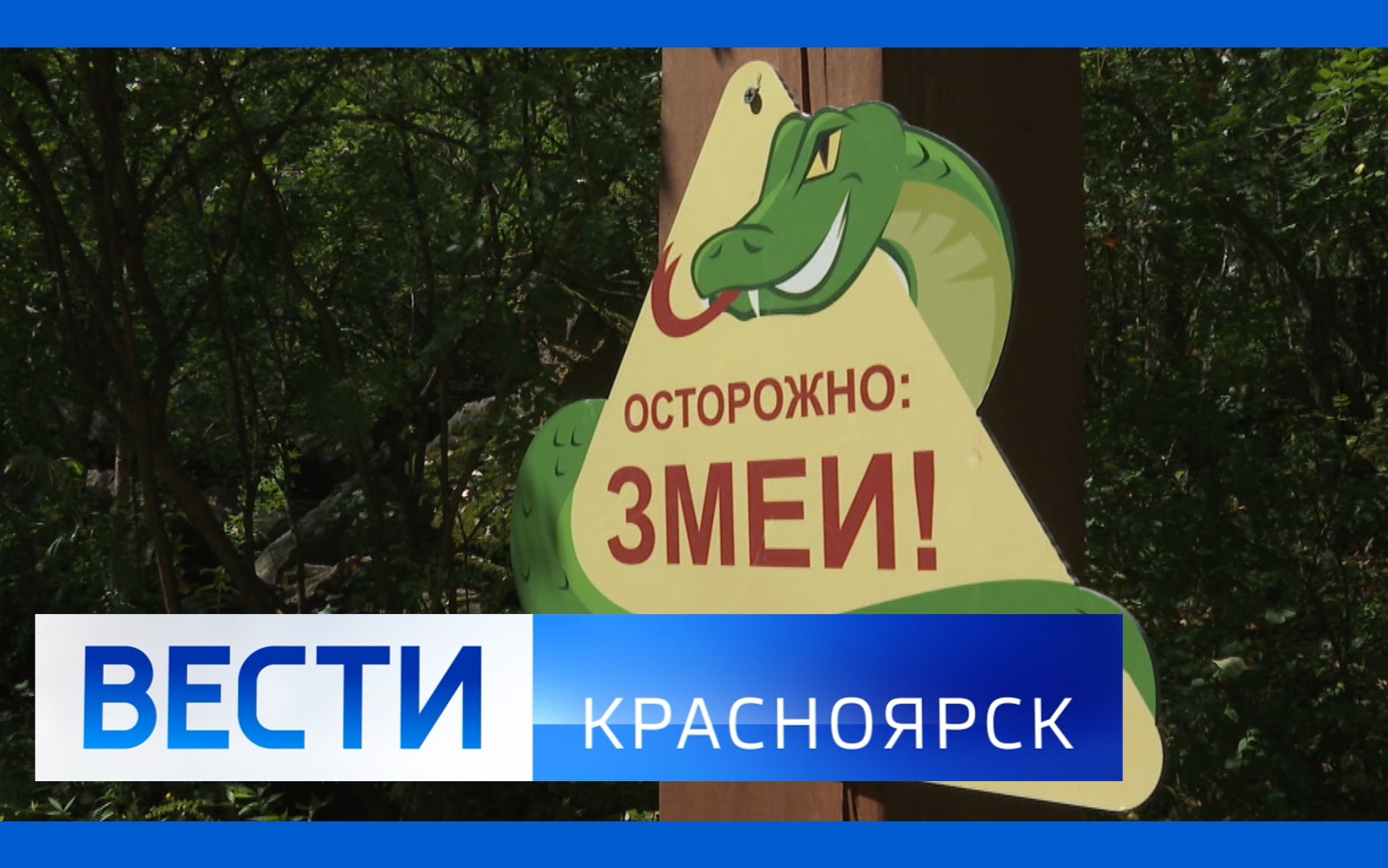 Эфир от 27.07.2026