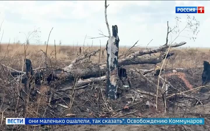 Коммунаровка под контролем: российские войска освободили село в Днепропетровской области