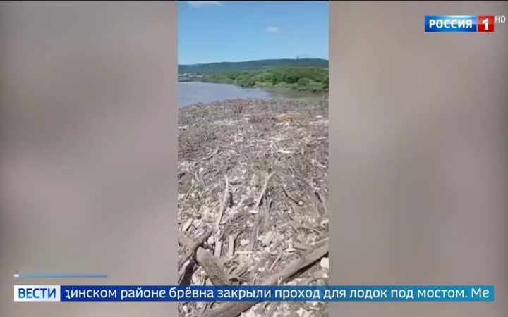 Проливные дожди в Приморье блокируют мосты, паводок разрушает трассу в Якутии, лесные пожары охватывают Ямал