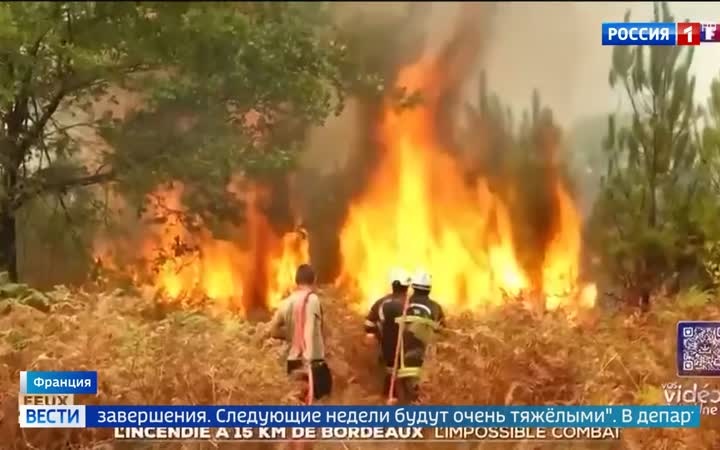 Лесные пожары в Бордо: эвакуация тысяч туристов и международная помощь