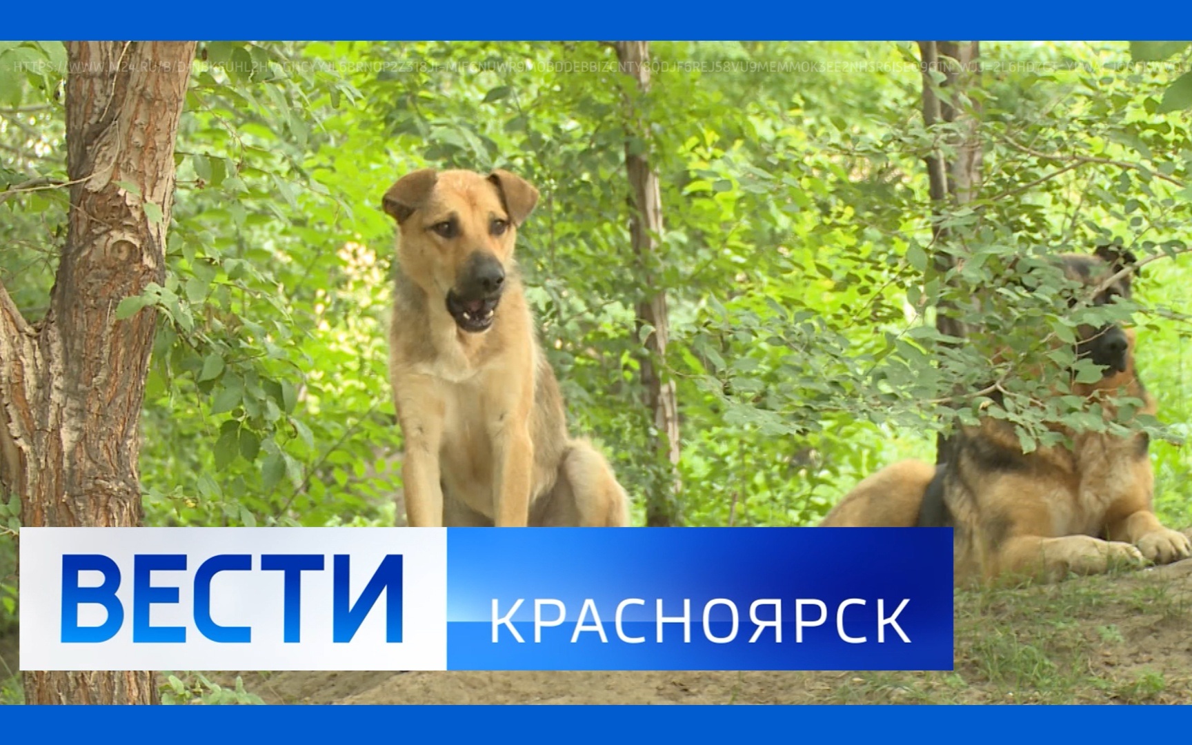 Эфир от 28.07.2026