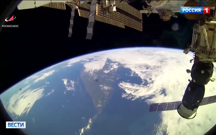 Пётр Дубров из космоса поздравил с Международным дндм тигра