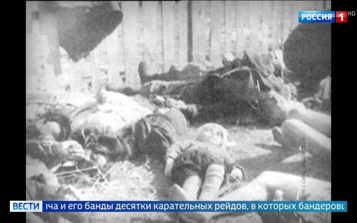Раскрыто дело Мирослава Симчича: от героя Украины до бандеровского палача
