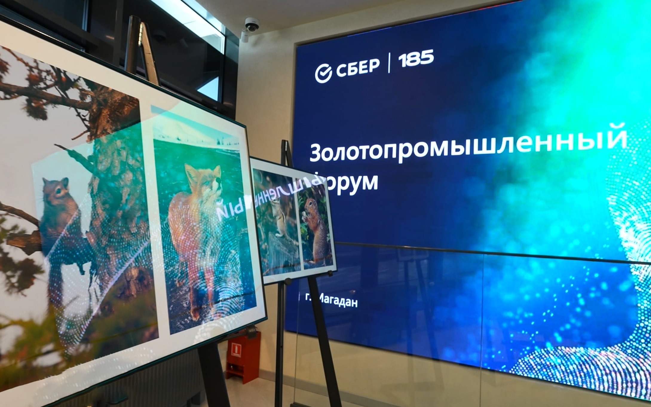 В Магадане обсудили будущее горнодобывающей отрасли