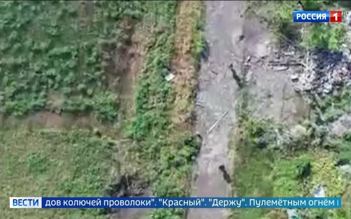 Псковские десантники освободили село Шевченко в Добропольском направлении