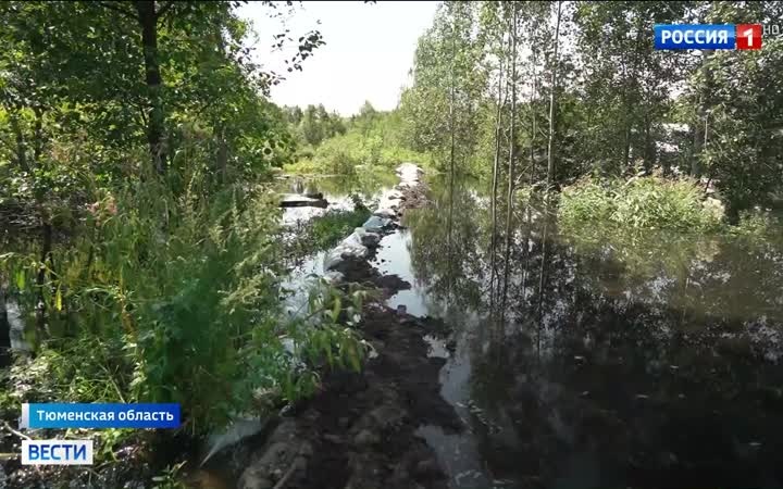 Паводок в Тюмени: эвакуация и усиление дамбы в условиях ЧС