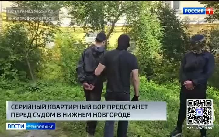 Серийный квартирный вор предстанет перед судом