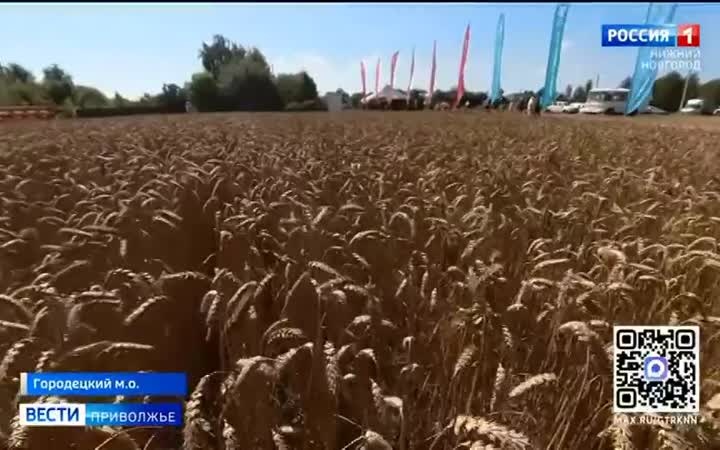 Уборочная кампания стартовала в Нижегородской области