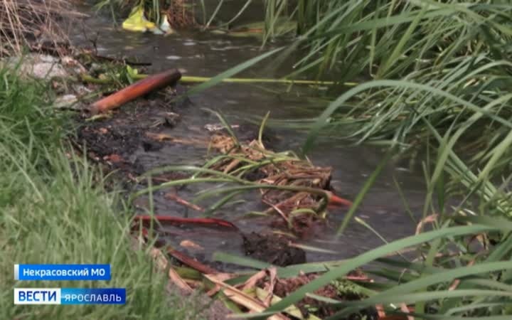 Жители нескольких сел Некрасовского округа могут оказаться в зоне подтопления