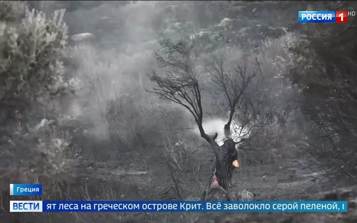 Лесные пожары в Европе уничтожили почти полмиллиона гектаров