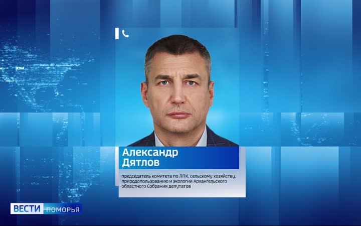Госдума внесла поправки в Лесной кодекс