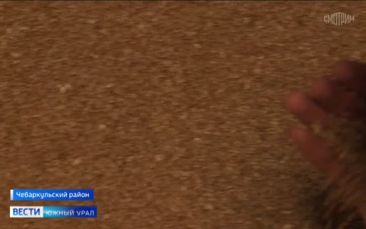 Аграрии в Челябинской области приступили к уборочной кампании